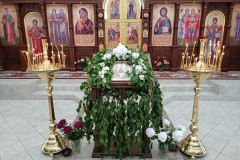 IMG_20220612_081424