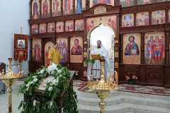 IMG_20220612_084626