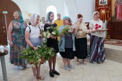 IMG_20220612_103059