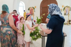IMG_20220612_103258