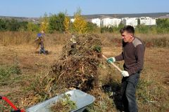 IMG_20231001_113302_318
