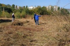 IMG_20231001_113302_665