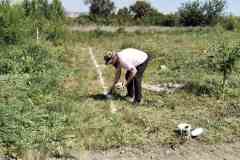 IMG-4de054470c45d639e2cc7b7c72c0f258-V