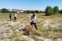 изображение_viber_2024-07-14_12-04-41-198
