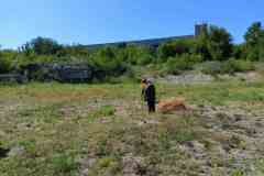 изображение_viber_2024-07-14_13-07-40-742