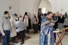 IMG_20241208_163446_295