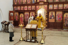 IMG_20250209_091825